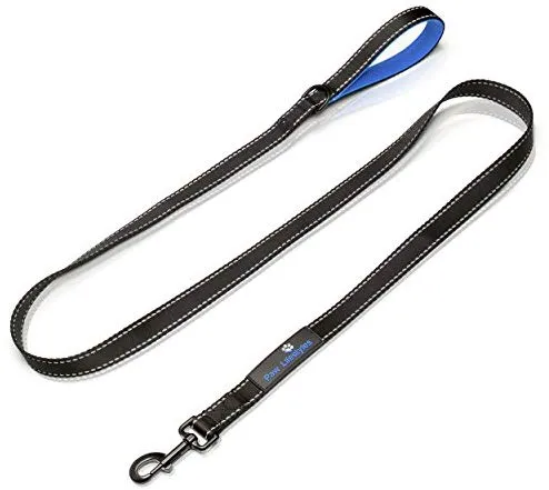 Correa para perro resistente Paw Lifestyles, 0.11 pulgadas de grosor, 6 ft de largo, mango acolchado para mayor comodidad, perfecta para perros medianos y grandes