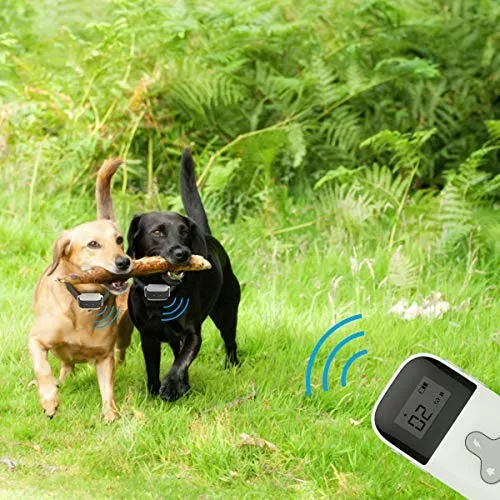 VINSIC - Collar de choque para perro con mando a distancia para 2 perros, collar de entrenamiento para perros a prueba de lluvia con control remoto de alcance de 300 yardas, para collar de corteza de perro pequeño y grande con pantalla LCD