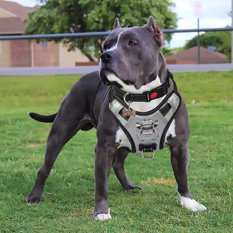 Arnés de perro grande de BABYLTRL de plata antidesgarros ajustable para mascotas de material Oxford reflectante suave chaleco para perros de tamaño mediano grande arnés de fácil control