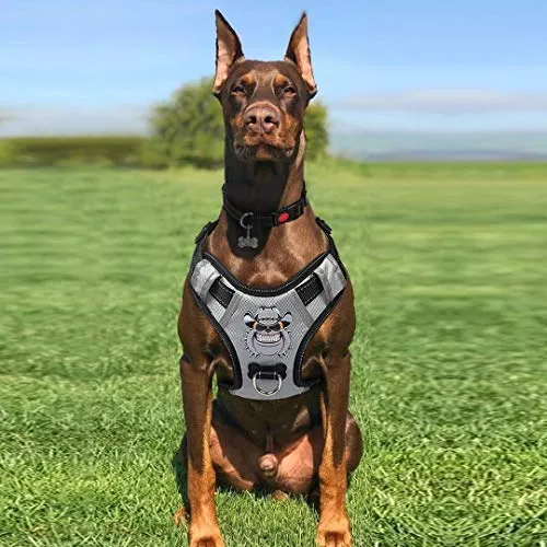 Arnés de perro grande de BABYLTRL de plata antidesgarros ajustable para mascotas de material Oxford reflectante suave chaleco para perros de tamaño mediano grande arnés de fácil control