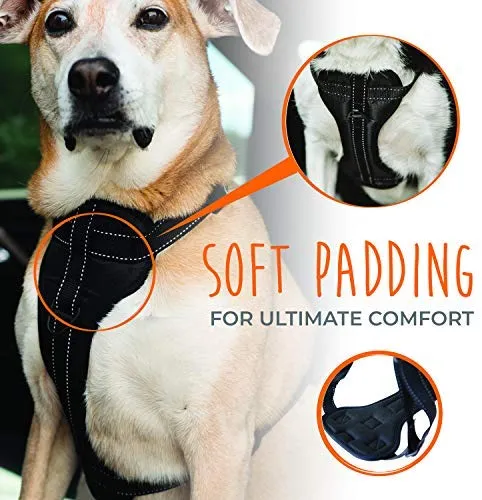 Arnés de seguridad para vehículo para perro Mighty Paw, con correas acolchadas ajustables, sirve como arnés para pasear el perro con su amarre para correa.