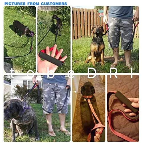 tobeDRI Correa para perro resistente, 2 asas acolchadas, 6 pies de largo, correas de entrenamiento para perros medianos y grandes