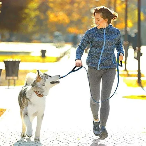 tobeDRI Correa para perro resistente, 2 asas acolchadas, 6 pies de largo, correas de entrenamiento para perros medianos y grandes