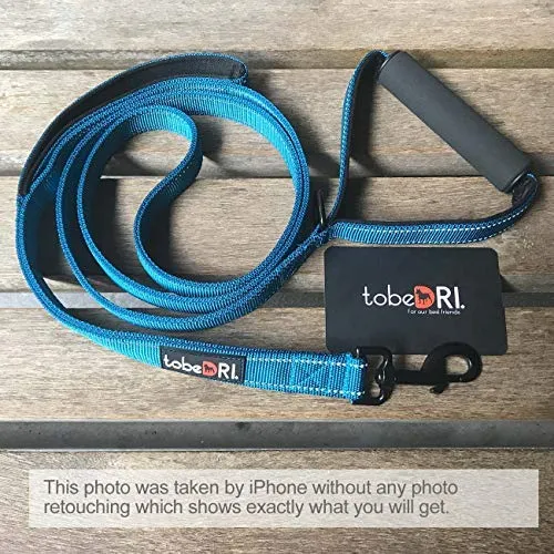 tobeDRI Correa para perro resistente, 2 asas acolchadas, 6 pies de largo, correas de entrenamiento para perros medianos y grandes