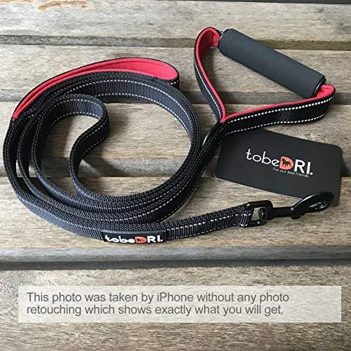 tobeDRI Correa para perro resistente, 2 asas acolchadas, 6 pies de largo, correas de entrenamiento para perros medianos y grandes
