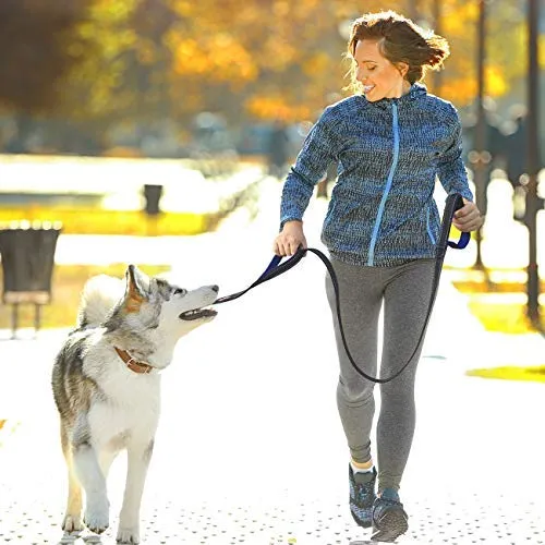 tobeDRI Correa para perro resistente, 2 asas acolchadas, 6 pies de largo, correas de entrenamiento para perros medianos y grandes