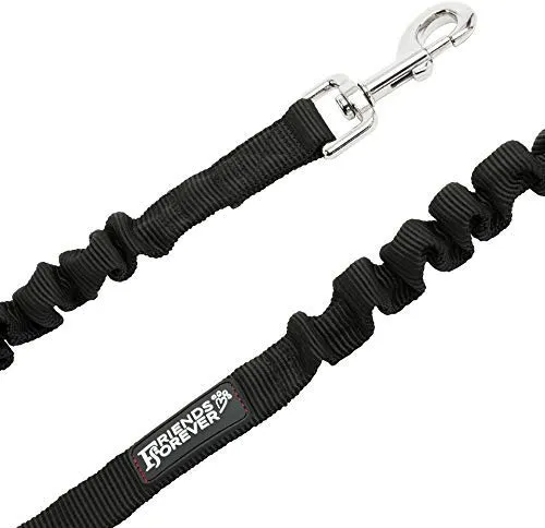 Cinturón de seguridad arnés, ajustable para mascota perro o gato arnés de seguridad de vehículo diseñado de friends forever