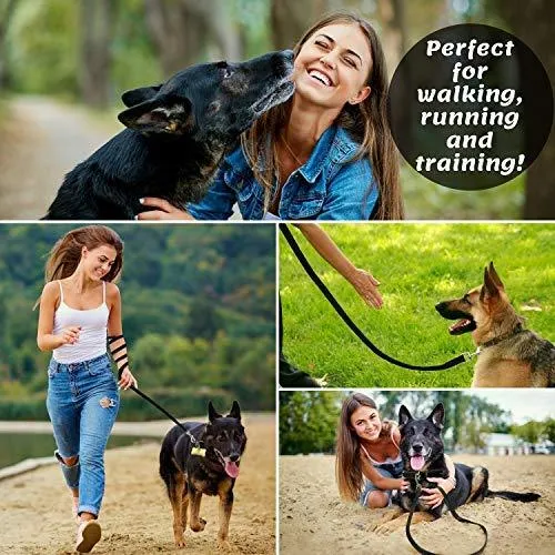 ADITYNA Correa para perro de piel resistente, 6 pies, correa de cuero fuerte y suave para perros extra grandes, grandes y medianos, correa de entrenamiento para perro