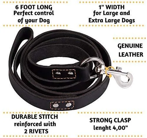ADITYNA Correa para perro de piel resistente, 6 pies, correa de cuero fuerte y suave para perros extra grandes, grandes y medianos, correa de entrenamiento para perro