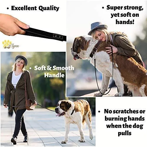 ADITYNA Correa para perro de piel resistente, 6 pies, correa de cuero fuerte y suave para perros extra grandes, grandes y medianos, correa de entrenamiento para perro
