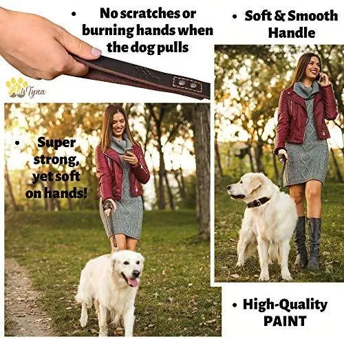 ADITYNA Correa para perro de piel resistente, 6 pies, correa de cuero fuerte y suave para perros extra grandes, grandes y medianos, correa de entrenamiento para perro