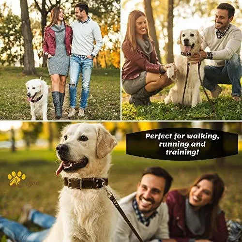 ADITYNA Correa para perro de piel resistente, 6 pies, correa de cuero fuerte y suave para perros extra grandes, grandes y medianos, correa de entrenamiento para perro