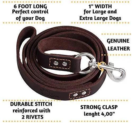 ADITYNA Correa para perro de piel resistente, 6 pies, correa de cuero fuerte y suave para perros extra grandes, grandes y medianos, correa de entrenamiento para perro