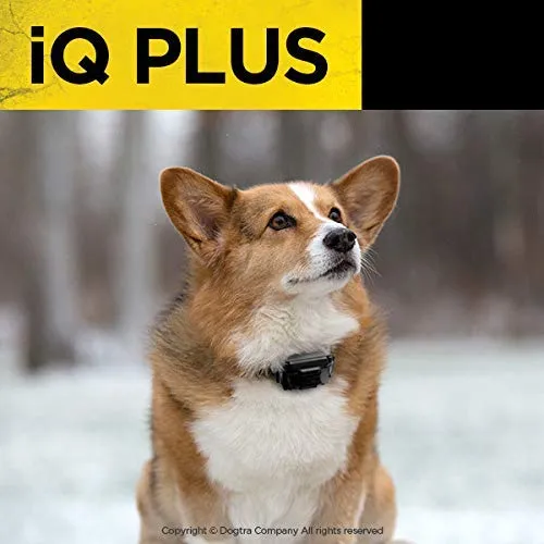 Entrenador remoto Dogtra IQ Plus , Estándar, Negro