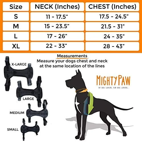 Arnés de seguridad para vehículo para perro Mighty Paw, con correas acolchadas ajustables, sirve como arnés para pasear el perro con su amarre para correa.