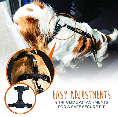 Arnés de seguridad para vehículo para perro Mighty Paw, con correas acolchadas ajustables, sirve como arnés para pasear el perro con su amarre para correa.