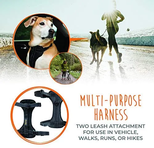 Arnés de seguridad para vehículo para perro Mighty Paw, con correas acolchadas ajustables, sirve como arnés para pasear el perro con su amarre para correa.