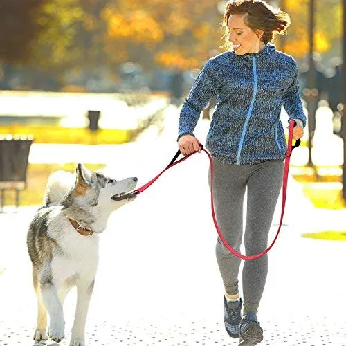 tobeDRI Correa para perro resistente, 2 asas acolchadas, 6 pies de largo, correas de entrenamiento para perros medianos y grandes