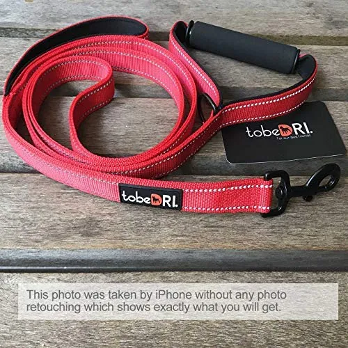 tobeDRI Correa para perro resistente, 2 asas acolchadas, 6 pies de largo, correas de entrenamiento para perros medianos y grandes