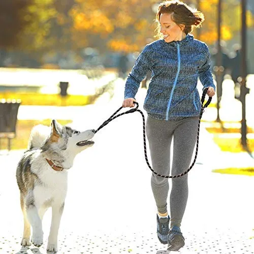 tobeDRI Correa para perro resistente, 2 asas acolchadas, 6 pies de largo, correas de entrenamiento para perros medianos y grandes