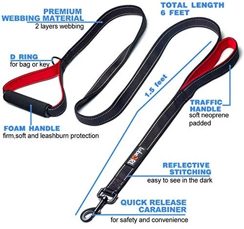 tobeDRI Correa para perro resistente, 2 asas acolchadas, 6 pies de largo, correas de entrenamiento para perros medianos y grandes