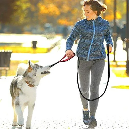 tobeDRI Correa para perro resistente, 2 asas acolchadas, 6 pies de largo, correas de entrenamiento para perros medianos y grandes
