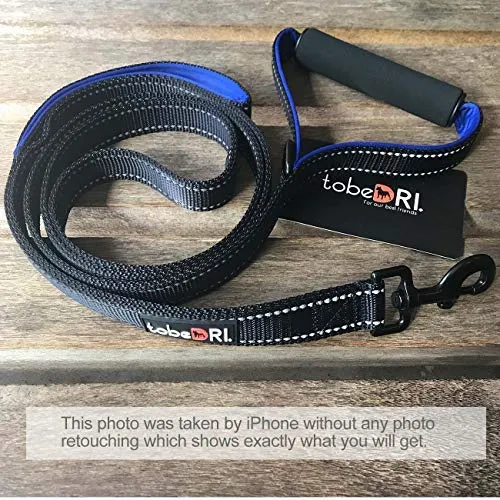 tobeDRI Correa para perro resistente, 2 asas acolchadas, 6 pies de largo, correas de entrenamiento para perros medianos y grandes