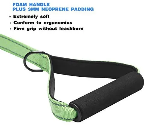 tobeDRI Correa para perro resistente, 2 asas acolchadas, 6 pies de largo, correas de entrenamiento para perros medianos y grandes