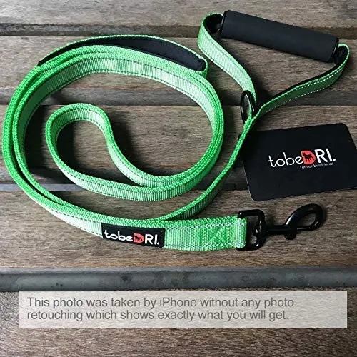 tobeDRI Correa para perro resistente, 2 asas acolchadas, 6 pies de largo, correas de entrenamiento para perros medianos y grandes