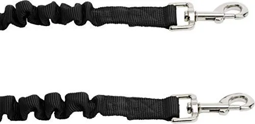 Cinturón de seguridad arnés, ajustable para mascota perro o gato arnés de seguridad de vehículo diseñado de friends forever