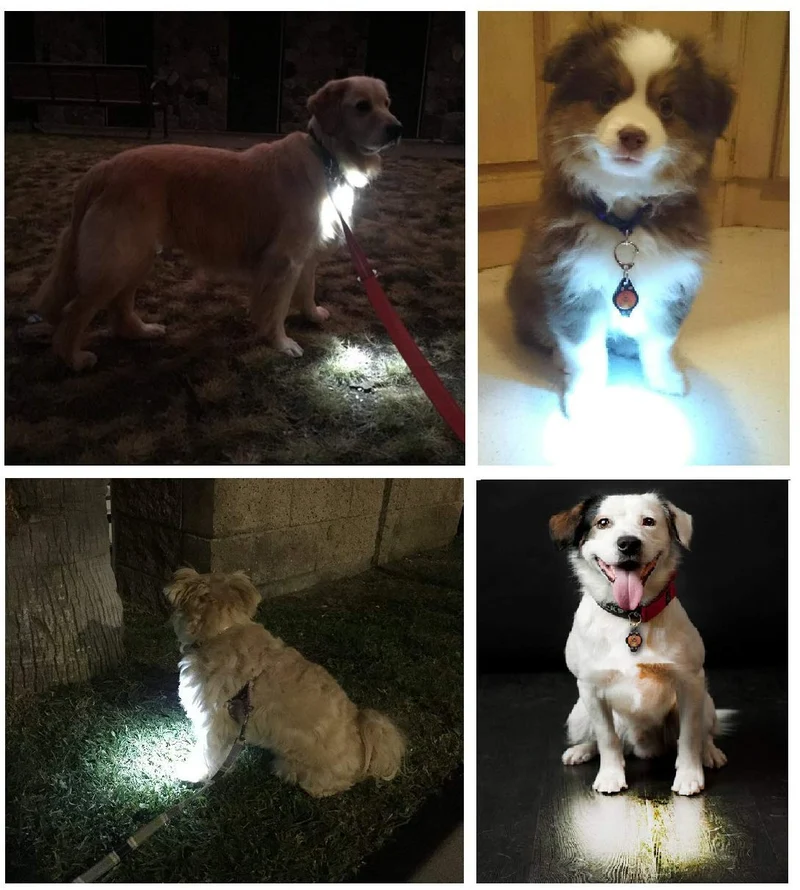 Luz para perro, collar de perro, correa de bubbba, luz – (no versión actual) 2 por paquete – para paseos de perro y monitoreo de patio. Se fija a la correa, collar de perro, arnés. Ideal para perros pequeños y grandes. (Color negro)