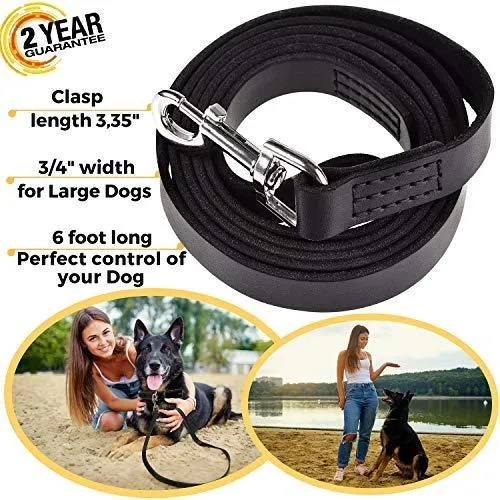 ADITYNA Correa para perro de piel resistente, 6 pies, correa de cuero fuerte y suave para perros extra grandes, grandes y medianos, correa de entrenamiento para perro