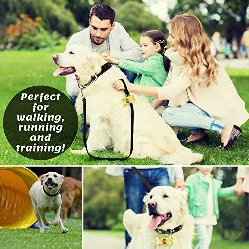 ADITYNA Correa para perro de piel resistente, 6 pies, correa de cuero fuerte y suave para perros extra grandes, grandes y medianos, correa de entrenamiento para perro