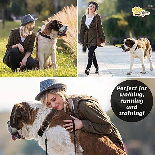 ADITYNA Correa para perro de piel resistente, 6 pies, correa de cuero fuerte y suave para perros extra grandes, grandes y medianos, correa de entrenamiento para perro