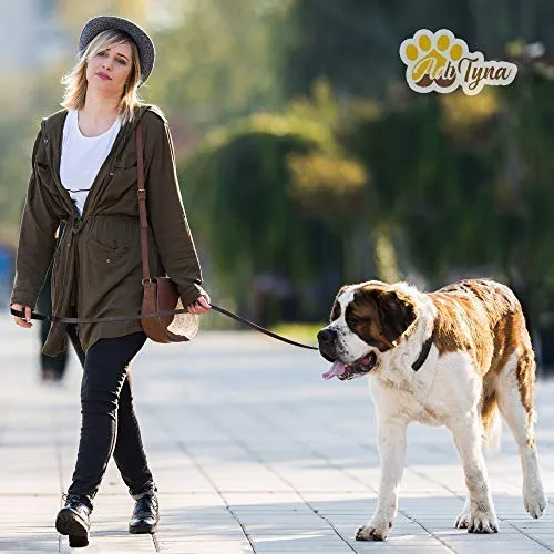 ADITYNA Correa para perro de piel resistente, 6 pies, correa de cuero fuerte y suave para perros extra grandes, grandes y medianos, correa de entrenamiento para perro