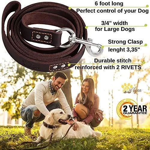 ADITYNA Correa para perro de piel resistente, 6 pies, correa de cuero fuerte y suave para perros extra grandes, grandes y medianos, correa de entrenamiento para perro