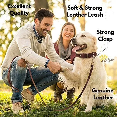 ADITYNA Correa para perro de piel resistente, 6 pies, correa de cuero fuerte y suave para perros extra grandes, grandes y medianos, correa de entrenamiento para perro