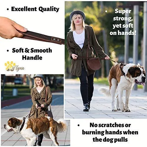 ADITYNA Correa para perro de piel resistente, 6 pies, correa de cuero fuerte y suave para perros extra grandes, grandes y medianos, correa de entrenamiento para perro