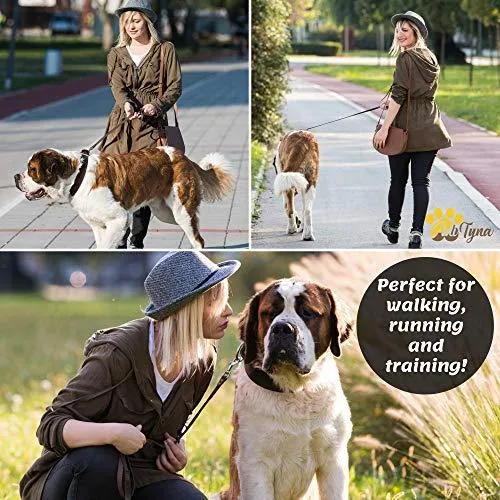 ADITYNA Correa para perro de piel resistente, 6 pies, correa de cuero fuerte y suave para perros extra grandes, grandes y medianos, correa de entrenamiento para perro