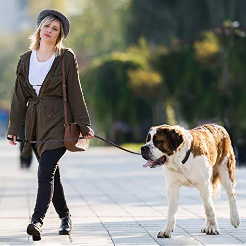 ADITYNA Correa para perro de piel resistente, 6 pies, correa de cuero fuerte y suave para perros extra grandes, grandes y medianos, correa de entrenamiento para perro
