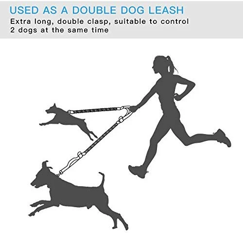 SHINE HAI - Correa para perro con doble elástico para manos libres, control gratuito para perros de hasta 150 libras, correa elástica duradera de doble asa con cinturón ajustable para correr, correr o caminar, gris