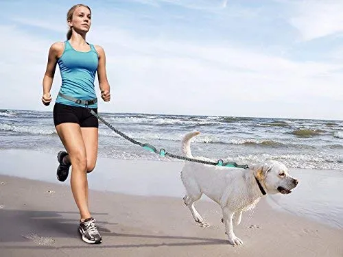 SHINE HAI - Correa para perro con doble elástico para manos libres, control gratuito para perros de hasta 150 libras, correa elástica duradera de doble asa con cinturón ajustable para correr, correr o caminar, gris