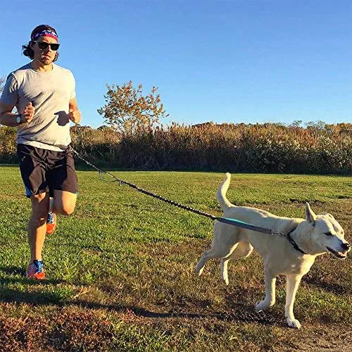 SHINE HAI - Correa para perro con doble elástico para manos libres, control gratuito para perros de hasta 150 libras, correa elástica duradera de doble asa con cinturón ajustable para correr, correr o caminar, gris