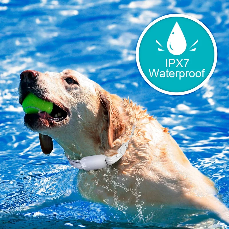Bousnic Collar de entrenamiento para perros con mando a distancia – Collar de entrenamiento eléctrico actualizado de 1000 pies resistente al agua recargable para perros pequeños, medianos y grandes, con 3 modos de entrenamiento seguros, vibración de pitid