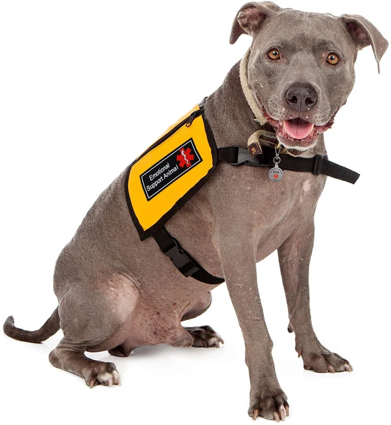 Símbolo de alerta médica de doble cara con etiqueta de identificación ESA y parches personalizados de ESA con gancho para apoyo emocional para animales, en entrenamiento, no mascotas, perro de terapia para arnés de chaleco, collares, correas, 4 piezas