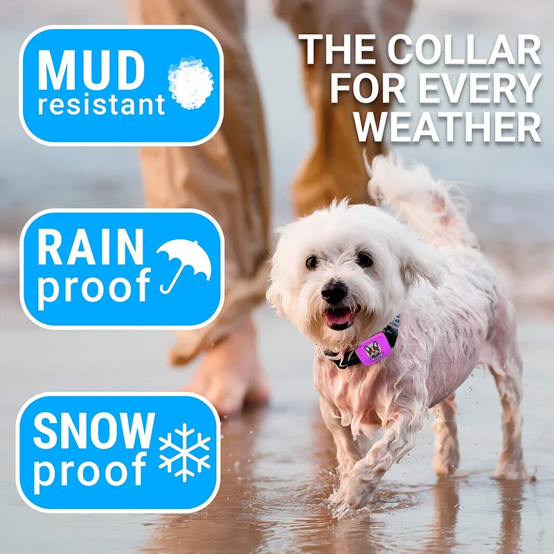 Collar pequeño para perro recargable, antiladridos para perros pequeños – el más pequeño más humano para dejar de ladrar – el collar de entrenamiento de perro sin corteza de choque impermeable – Dispositivo seguro de control de corteza para mascotas