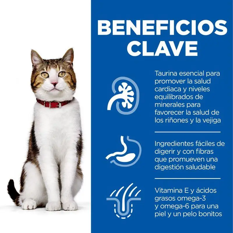 Hill'S Science Plan Mature Adult 7+ Pollo 10 kg Alimento para Gatos