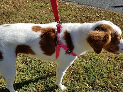 Arnés ajustable Pupteck para perro, medida básica de cachorro, de nailon, chaleco para pasear en exteriores con etiqueta de identificación
