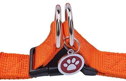 Arnés ajustable Pupteck para perro, medida básica de cachorro, de nailon, chaleco para pasear en exteriores con etiqueta de identificación