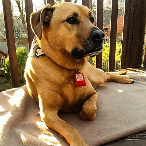 Funda para placa identificativa de mascotas Quiet Spot